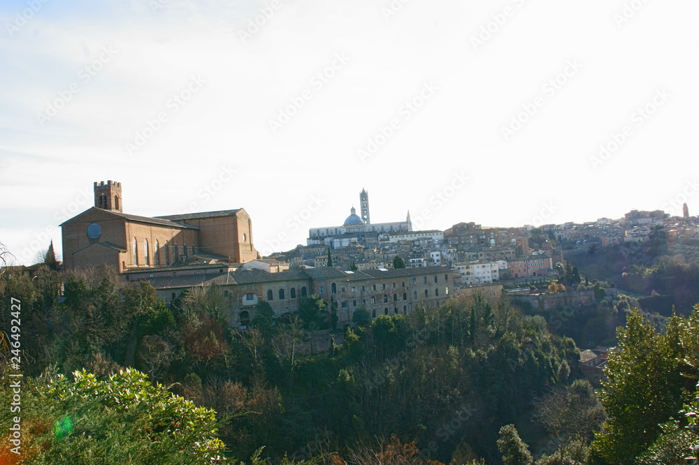Obraz premium Dettagli di Siena