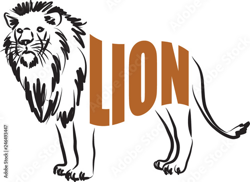 Fototapeta Naklejka Na Ścianę i Meble -  LION lettering illustration