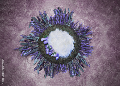 Bird Nest Fantasy Background Photo Prop with flowers Isolated on purple lavender color