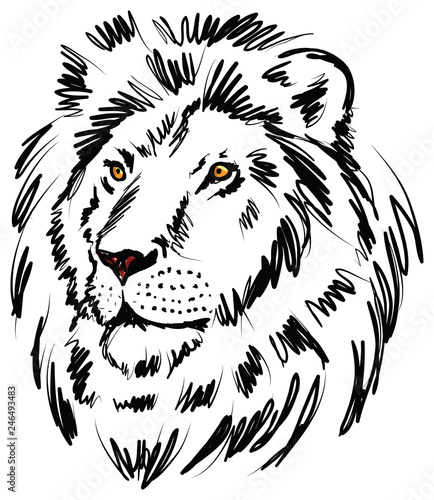 Fototapeta Naklejka Na Ścianę i Meble -  lion illustration