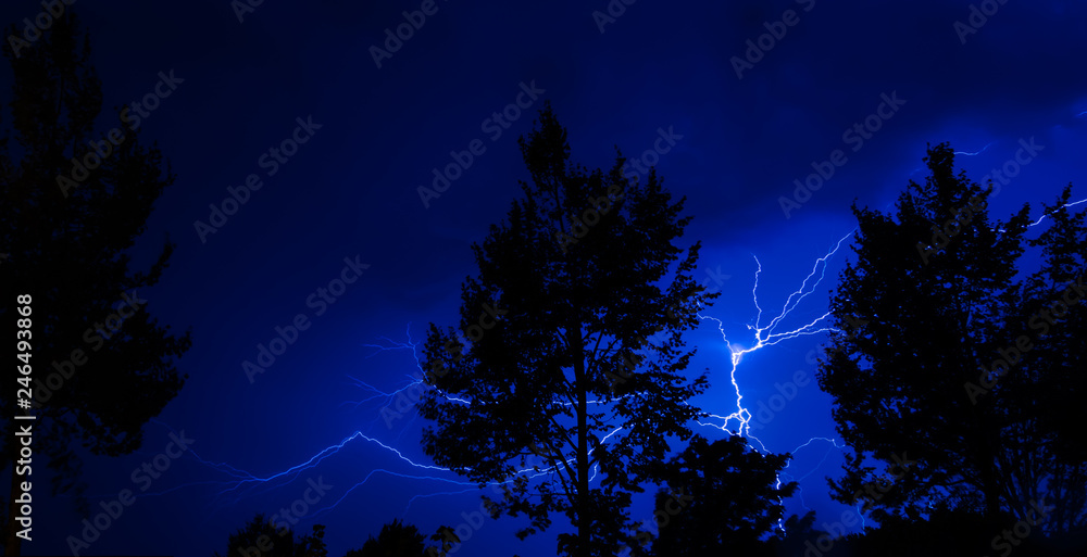 Fototapeta premium Blitz schlägt bei Nacht in Baum