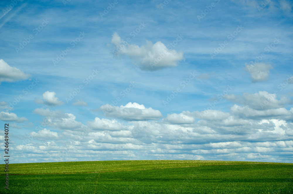 Fototapeta premium CAMPO DE CASTILLA CON NUBES PRIMAVERA