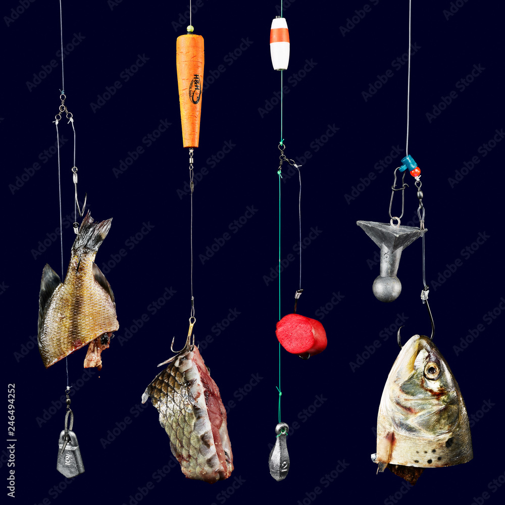 Four Cut Bait Rigs for Catfish, Flathead, Gator Gar, and Redfish fishing  Stock Photo
