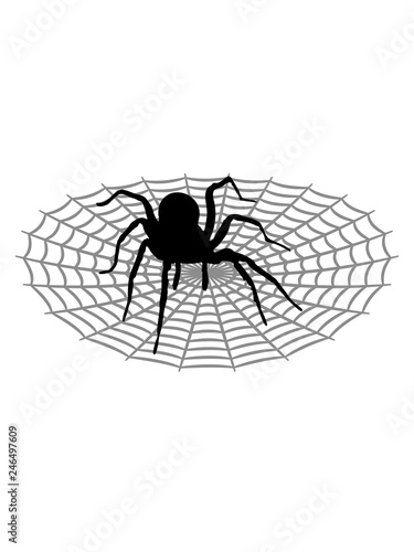 spinnennetz spinne vogelspinne design clipart logo ekelig krabbeln monster horror halloween angst