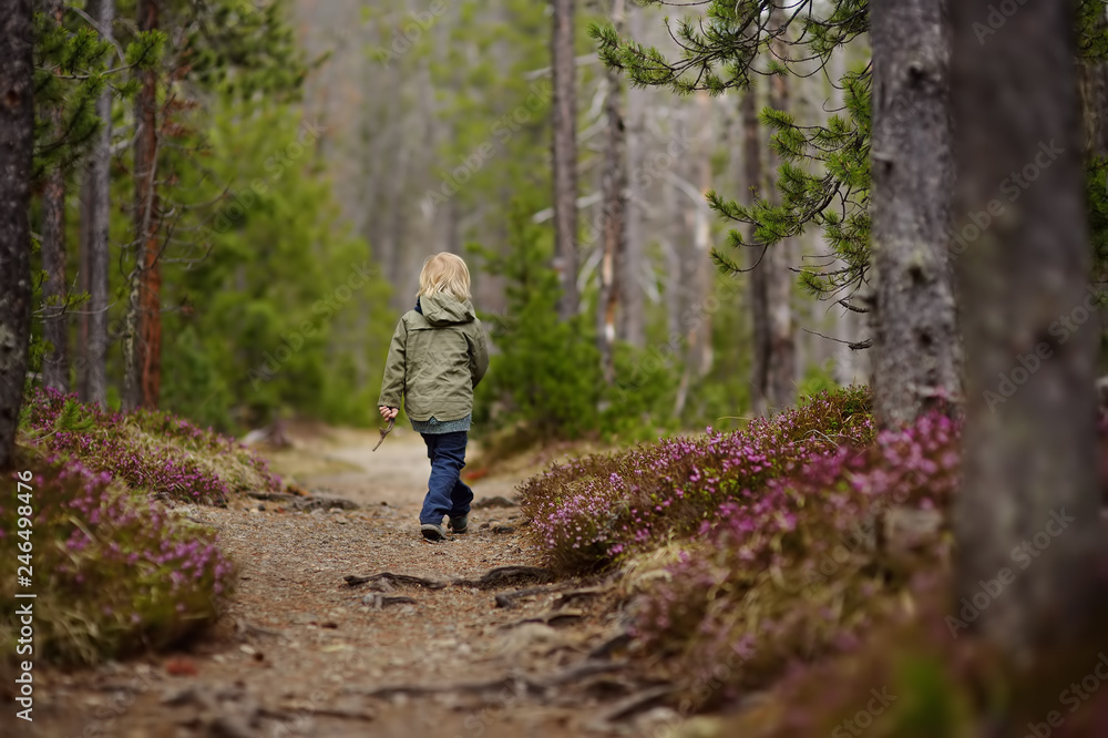 Cute little boy walks in Swiss national Park on spring. Cute little boy walks in Swiss national Park on spring.