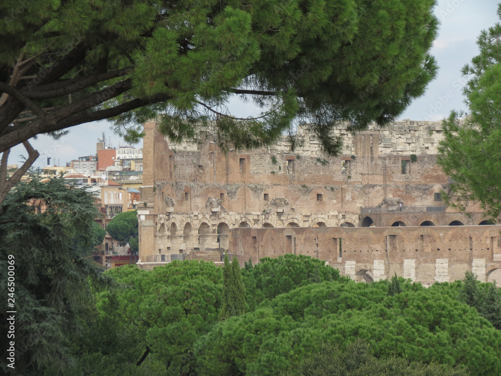Obraz premium Colosseum in Rome
