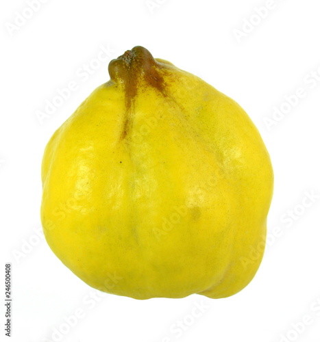 quince isolated on the white background