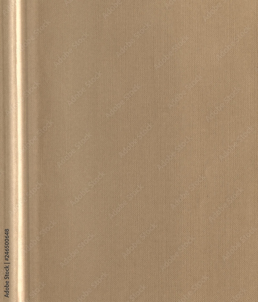 Fototapeta premium light brown paper texture background