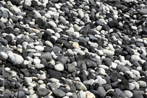 Round cut lava stones on the beach, southwest coast, island of Sao Miguel, Azores, Portugal, Europe photo