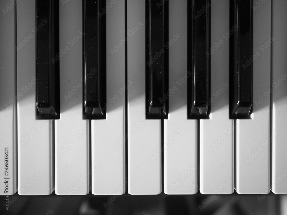 electronic keyboard instrument electronic keyboard instrument