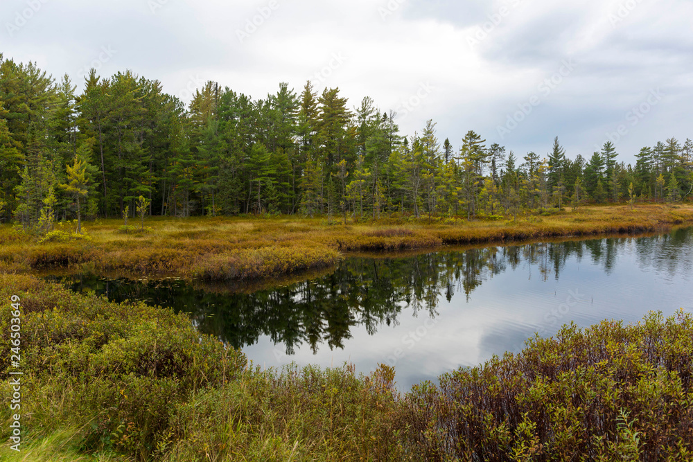 Pine Lake Reflections Pine Lake Reflections