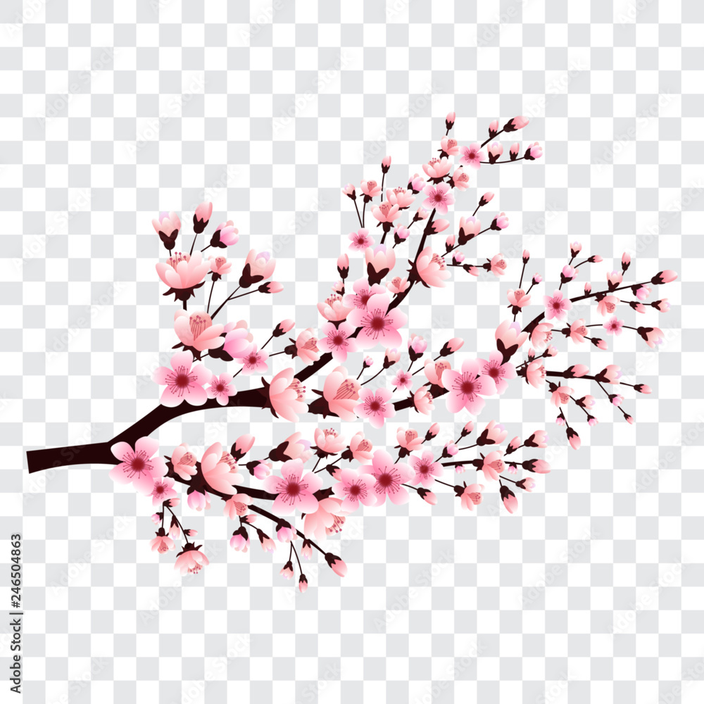 Cherry Blossom Tree Branch Vector 1000 F 246504863 Fc3L478LEPUGT5BMaB5MJTaUTJ2cxLx2