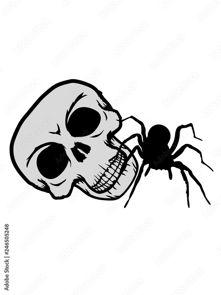 schädel totenkopf cool skelett tod tot böse klein gesicht spinne  vogelspinne design clipart logo ekelig krabbeln monster horror halloween  angst Stock Illustration | Adobe Stock