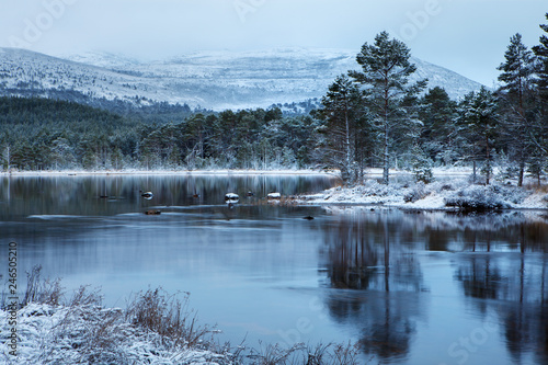 Loch Morlich in winter, Scotland, UK photo