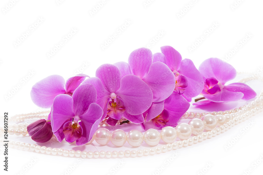 Orchid. A branch of pink orchids and pearls. Greeting card. Beautiful composition. Isolate on white background Orchid and beads from pearls on a white background Orchid. A branch of pink orchids and pearls. Greeting card. Beautiful composition. Isolate on white background Orchid and beads from pearls on a white background