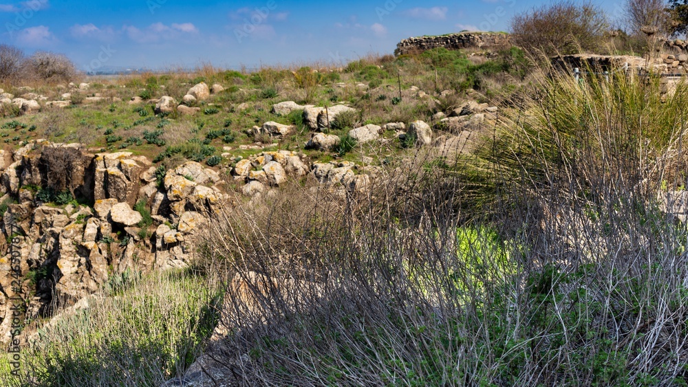 Desert Israel stones canyon 