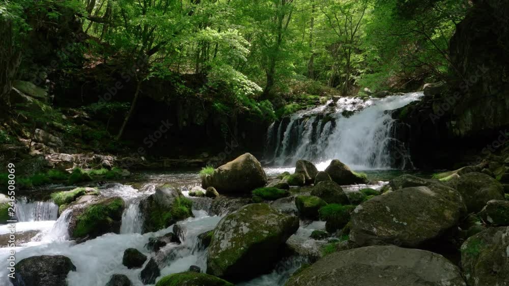 Waterfall in a Mountain Forest Captured on a Sunny Spring Day:Tateshina Ootaki Falls in Nagano Prefecture, Japan Waterfall in a Mountain Forest Captured on a Sunny Spring Day:Tateshina Ootaki Falls in Nagano Prefecture, Japan