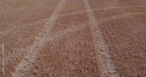 Aerial pan up from agricultural field in the UK photo