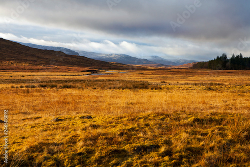 Scottish landscape in winter golden colours