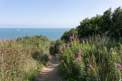 Canvas Print Walking the Howth Cliff Path Loop