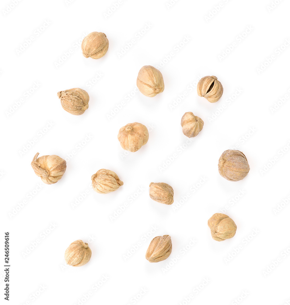 dried cardamom seeds isolated on white dried cardamom seeds isolated on white