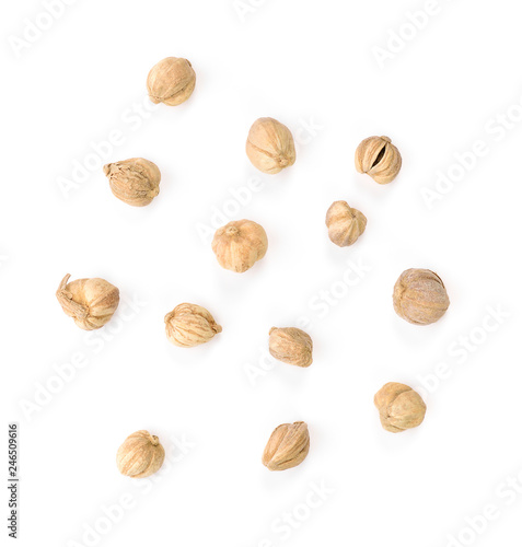 dried cardamom seeds isolated on white