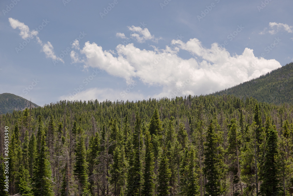 Green Mountain Trees and Clouds