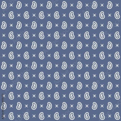 Seamless floral pattern in vector. Small white flowers and paisley on a blue background.