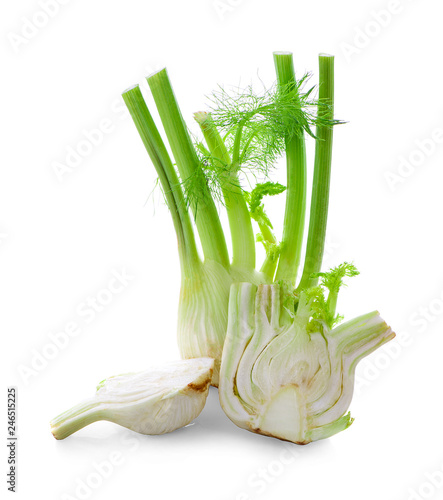 Fresh fennel bulb isolated on white background