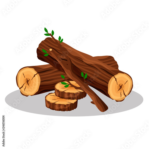 Stack of firewood materials for lumber industry isolated on white background. Pile of wood logs tree trunk, bonfire concept - flat vector illustration