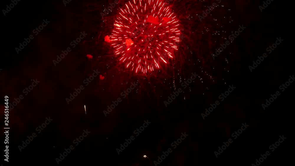 the fireworks in the night sky the fireworks in the night sky
