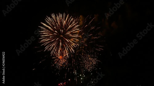 Wallpaper Mural the fireworks in the night sky Torontodigital.ca