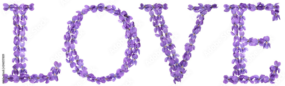Word love, set of letters from natural flowers of violet, isolated on white background Word love, set of letters from natural flowers of violet, isolated on white background