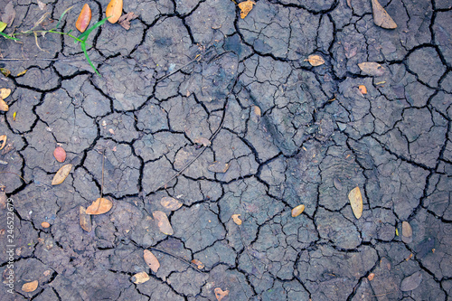Drought land top view photo. Dry soil with crack net and fallen yellow leaves. Arid land texture. Black cracked surface