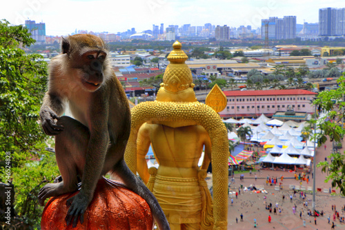 Photography Kuala Lumpur, Malaysia