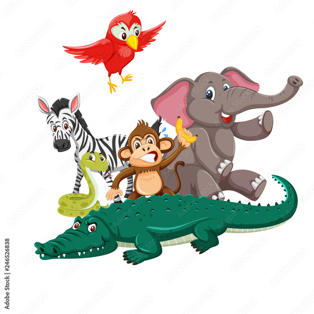 Obraz premium Group of wild animals