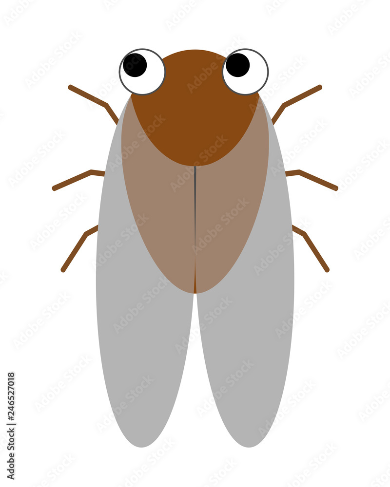 セミ Stock イラスト Adobe Stock