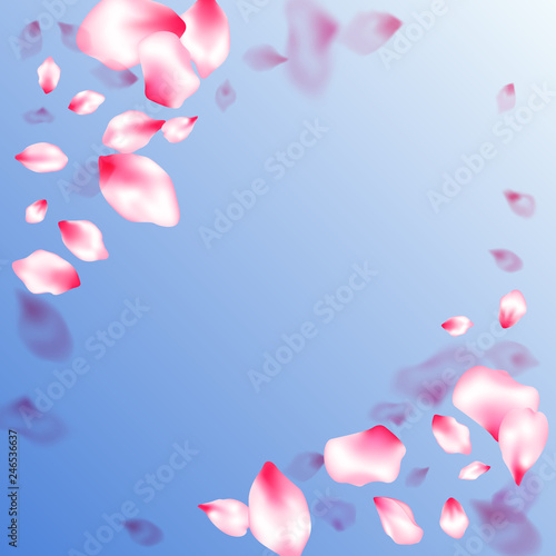 Spring tree flowers parts  airy flying petals