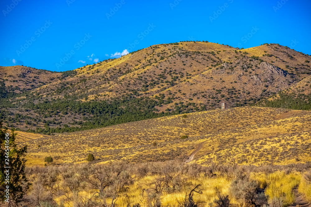 Fototapeta premium Bald Mountain with vivid sky background in Utah
