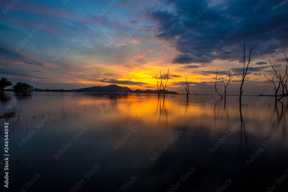 The background of the twilight light in the evening on the lake, with a perennial tree on the water, is a natural beauty. The background of the twilight light in the evening on the lake, with a perennial tree on the water, is a natural beauty.