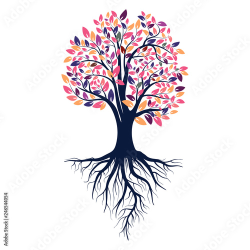 Autumn silhouette of a tree with colored leaves. Tree with roots. Isolated on white background.  Vector