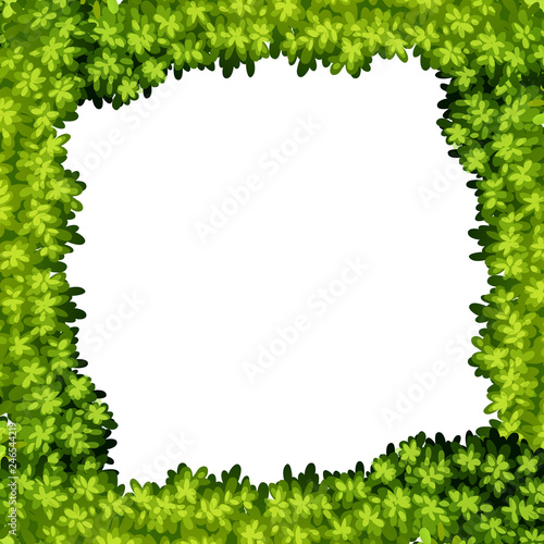 A green leaf frame