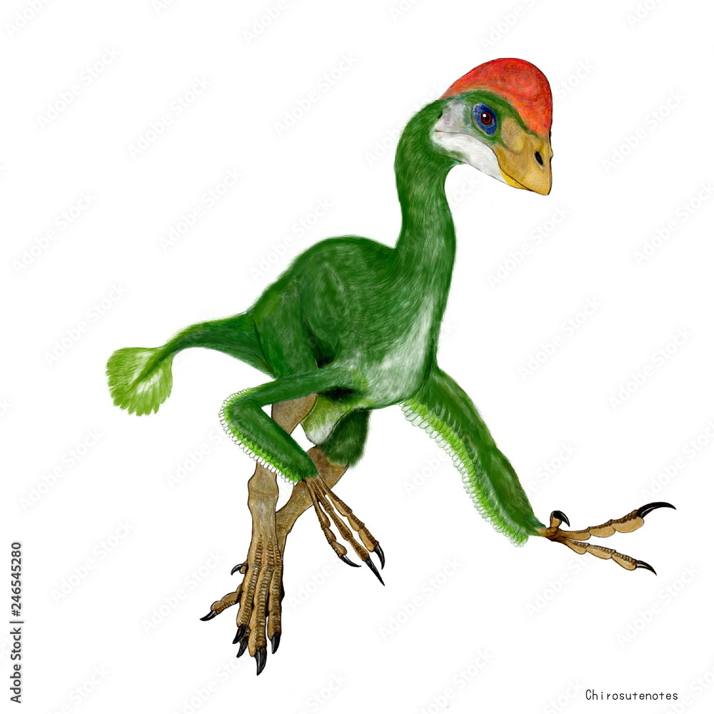 Fototapeta premium Kirostenos Naukowa nazwa oznacza „cienkie ramię”. Podobnie jak owiraptor, jest podsumowany w dolnej części owiraptrozaura. Jak sama nazwa wskazuje, późnokredowy dinozaur o wydłużonych ramionach. Na głowie miał dużą koronę kurczaka i brak zębów na dolnej s