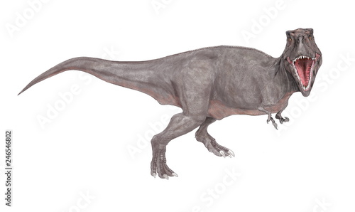 白亜紀後期の恐竜時代の終焉を飾る大型の肉食恐竜であり、様々な化石が発見されている。雌雄の大きさの違いや、家族単位での群れの形成等、生態への探求が今も続いている。上下の顎は重く鼻先は細長い。頭部を真正面から見るとフクロウのような視野の広がりをもつ。巨大な上顎が視野を妨げるような構造ではなく、獲物との距離感が正確につかめるような構造である。イラストは正面を向いた姿で描いた。 © Mineo