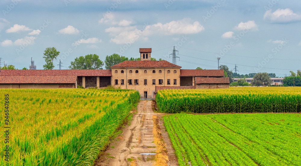 Rural landscape near Casale Monferrato