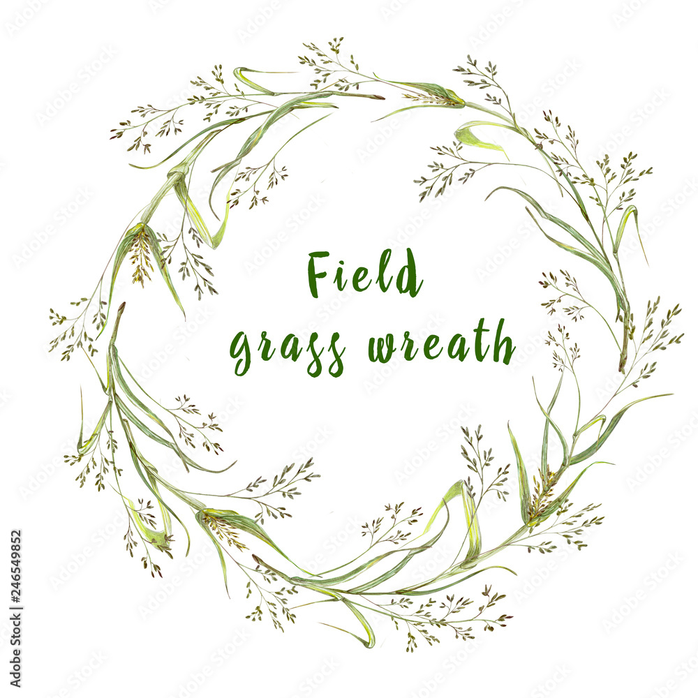 A wreath of field and meadow herbs on a white background