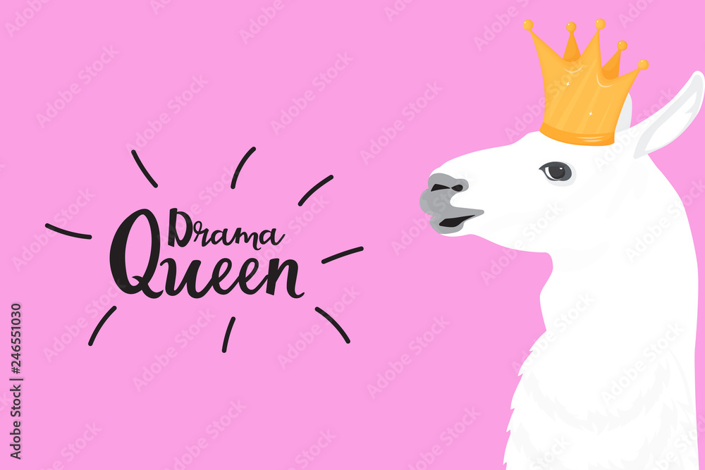 Alpaca queen cheap