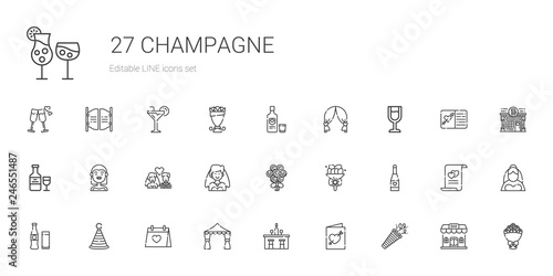 champagne icons set