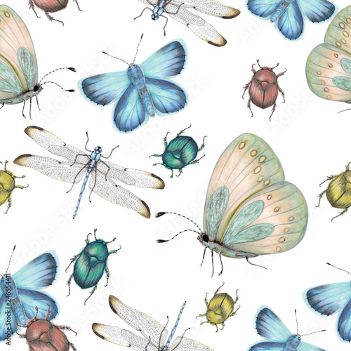 Seamless pattern of hand drawn insects   © arevka