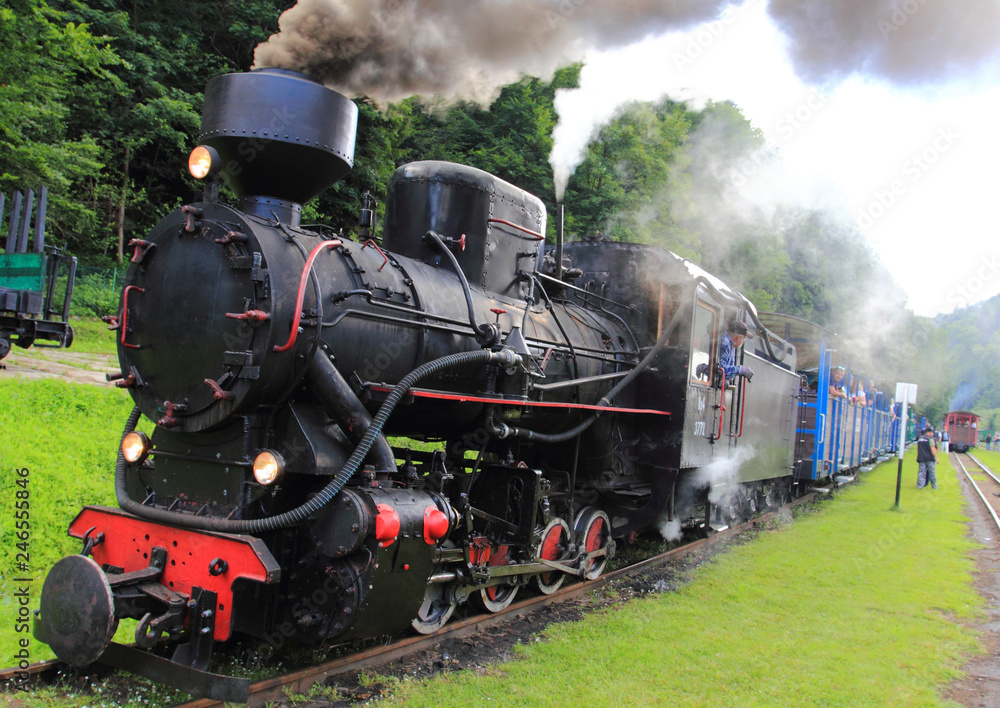 Obraz premium July 18, 2018: Cisna - Majdan, Poland: Bieszczady Railway Station in Cisna - Majdan in Bieszczady Mountains